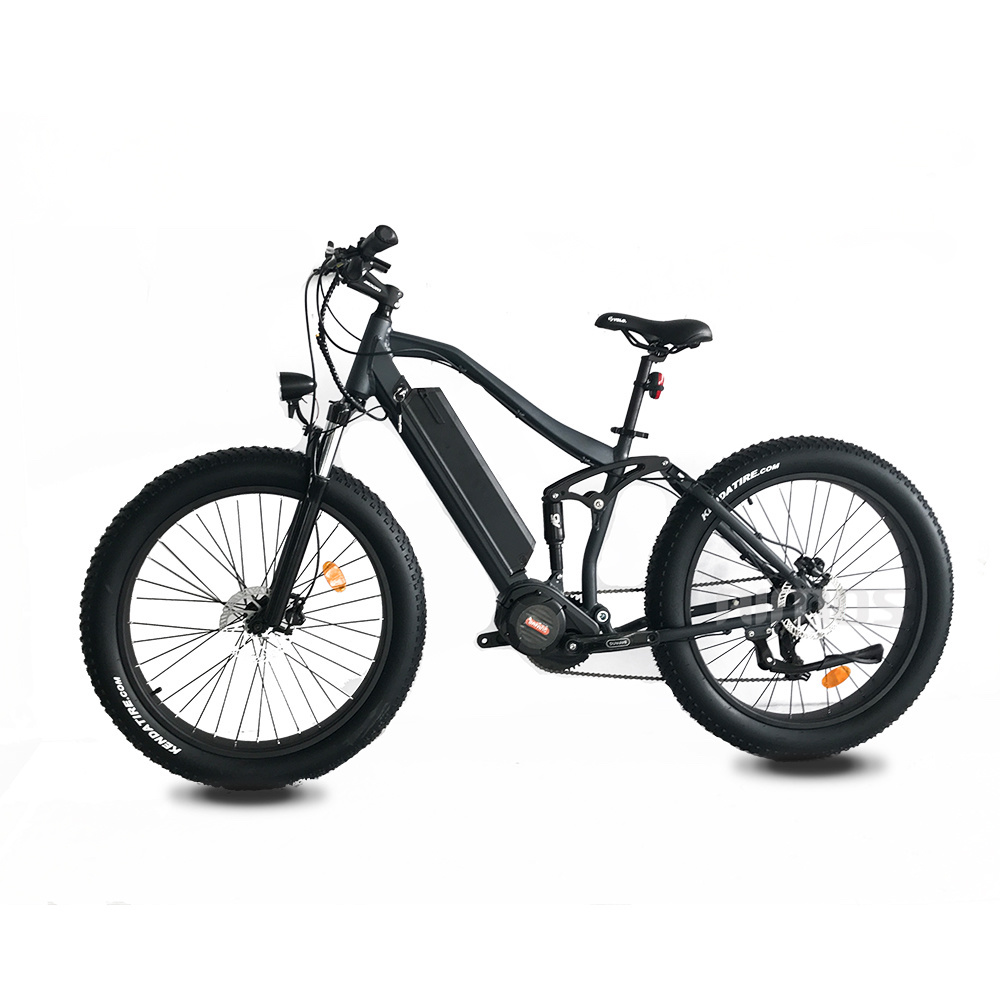 ebike